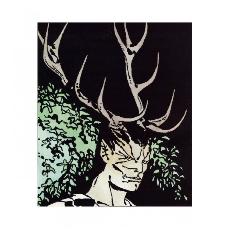 Didier Comès. L'encrage ardennais Tome 1