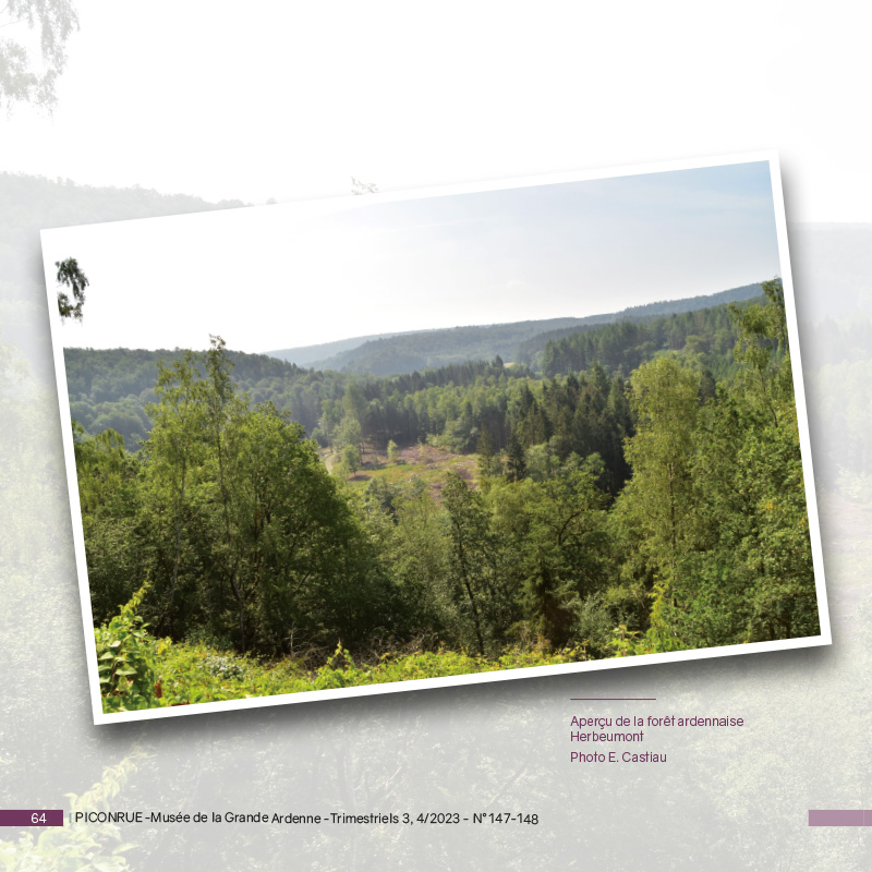 Revue Double 3e Et 4e Trimestres 2023 3