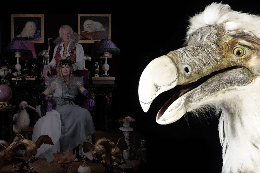 Exposition Curiosa Deliciosa