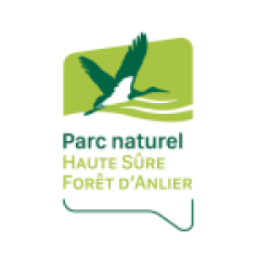 Cropped Couleurs 2 Verts Vague